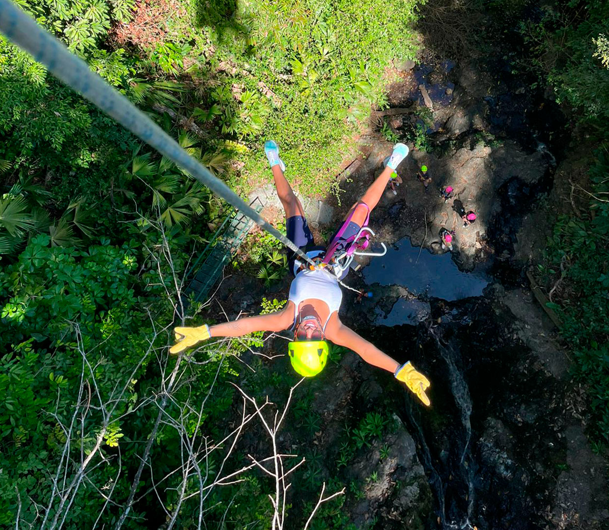 Canopy Zip Line