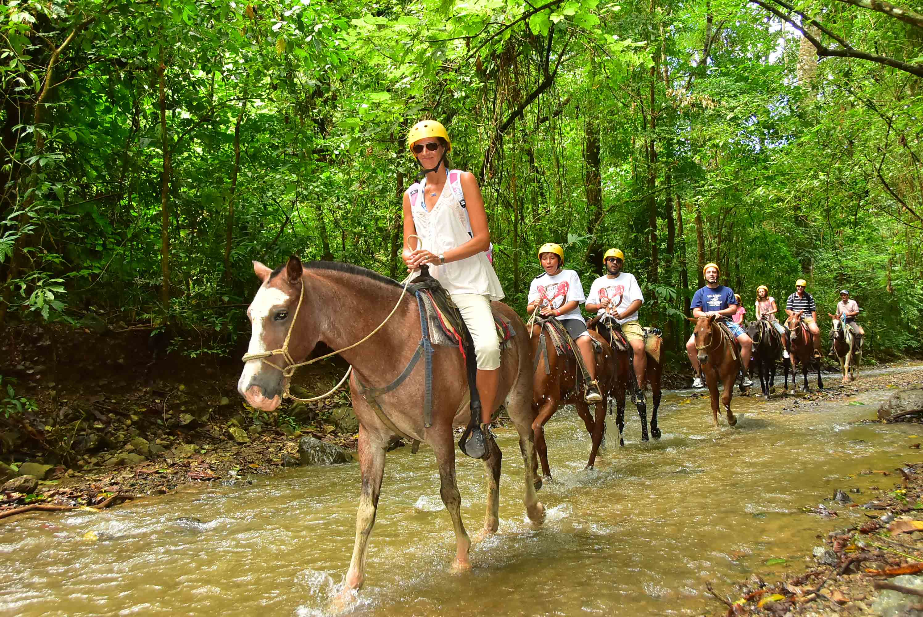 Horseback Riding - Mountain Tour