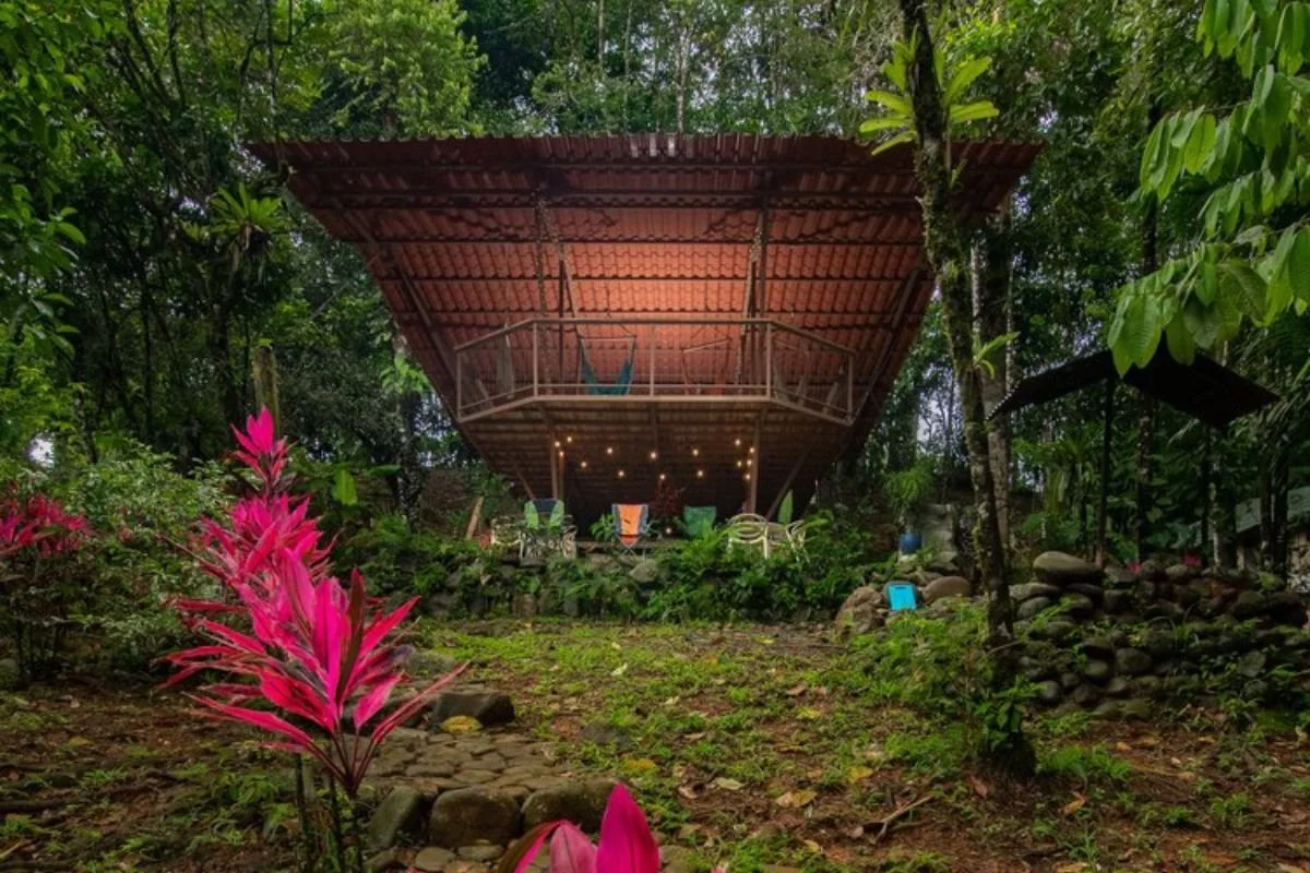 Jungle Yoga, Avatar Blue Clay, Waterfall and Cultural Lunch