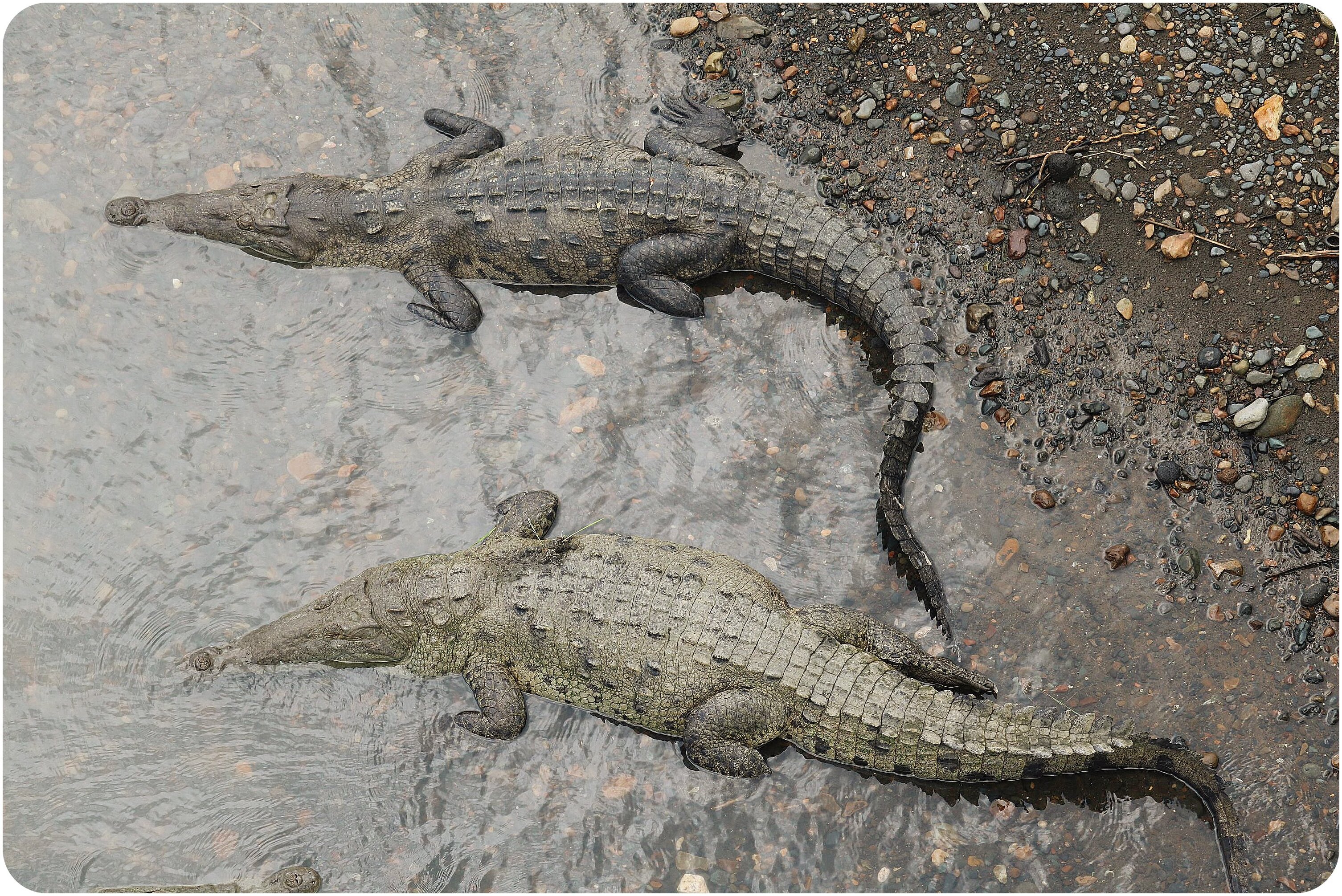 Sukia Nature Park Day Tour