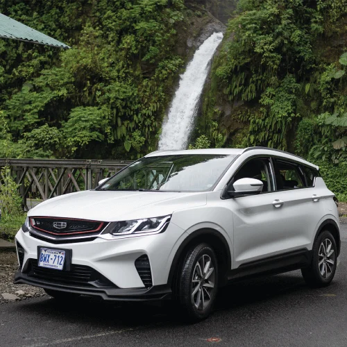 Rental Car