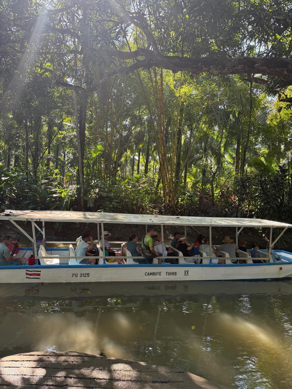 Excursión de un día por los manglares (en barco o kayak)