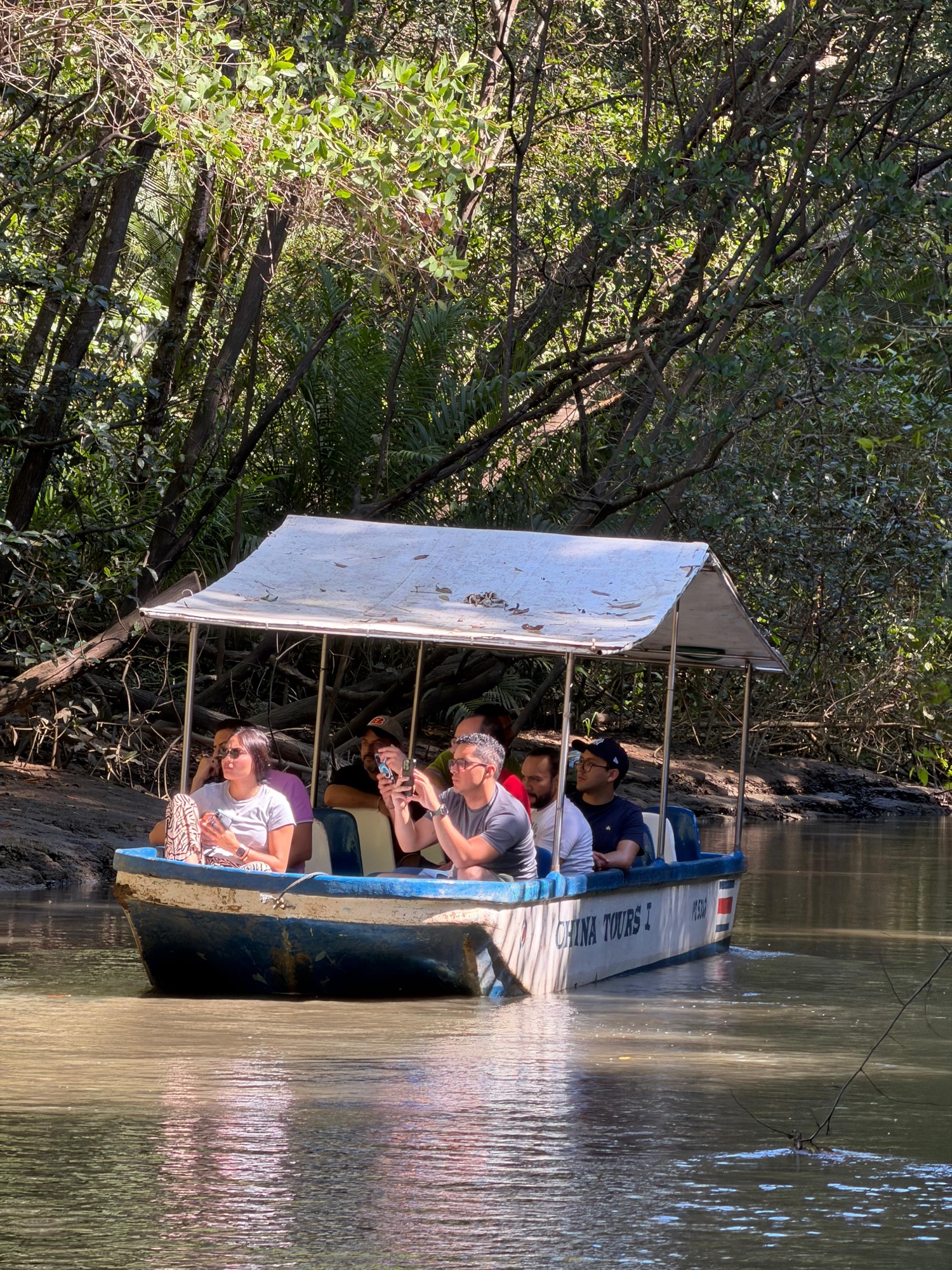 Excursión de un día por los manglares (en barco o kayak)