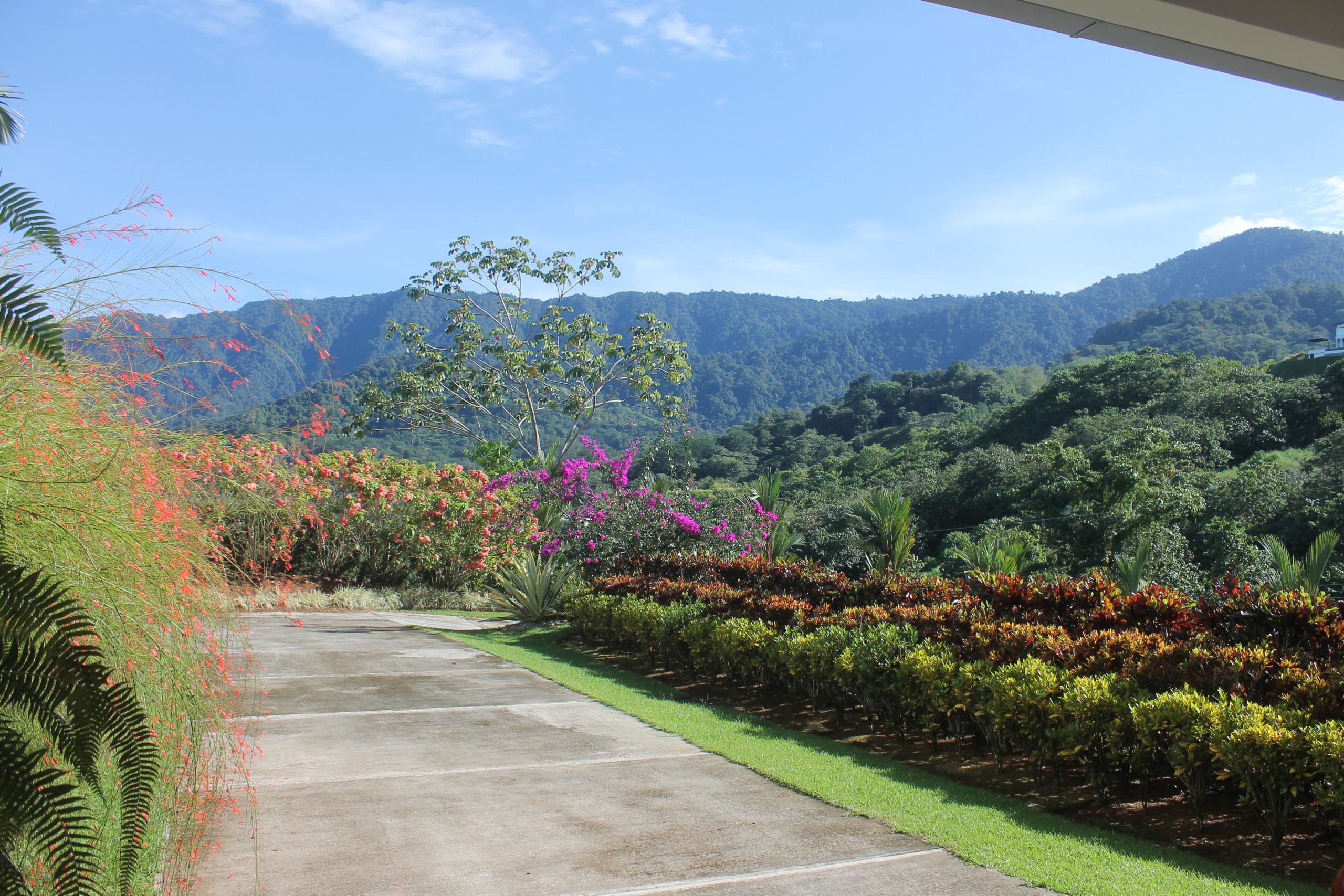 A paved driveway winds past vibrant tropical foliage, opening to panoramic views of sunlit, jungle-covered mountains.