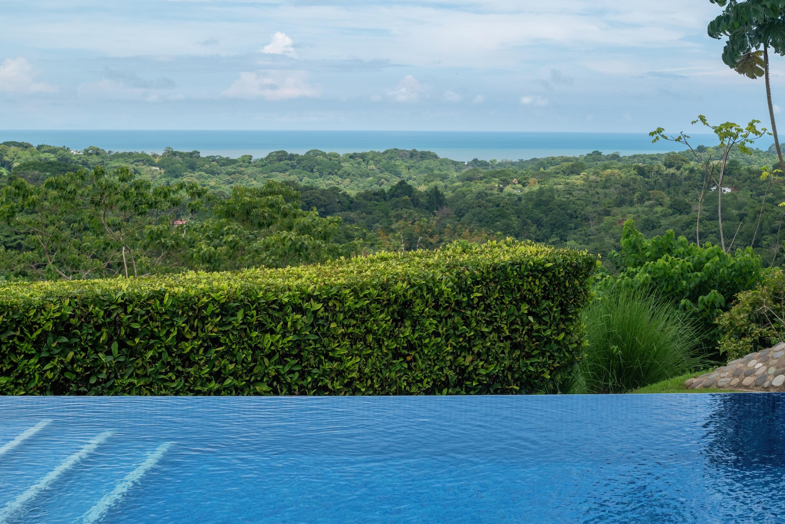 An infinity pool extends toward the jungle canopy, offering expansive views of the Pacific Ocean under a bright sky.