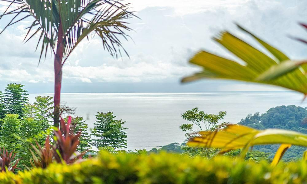 An expansive ocean vista unfolds beyond lush tropical foliage, set beneath a bright, cloudy sky.