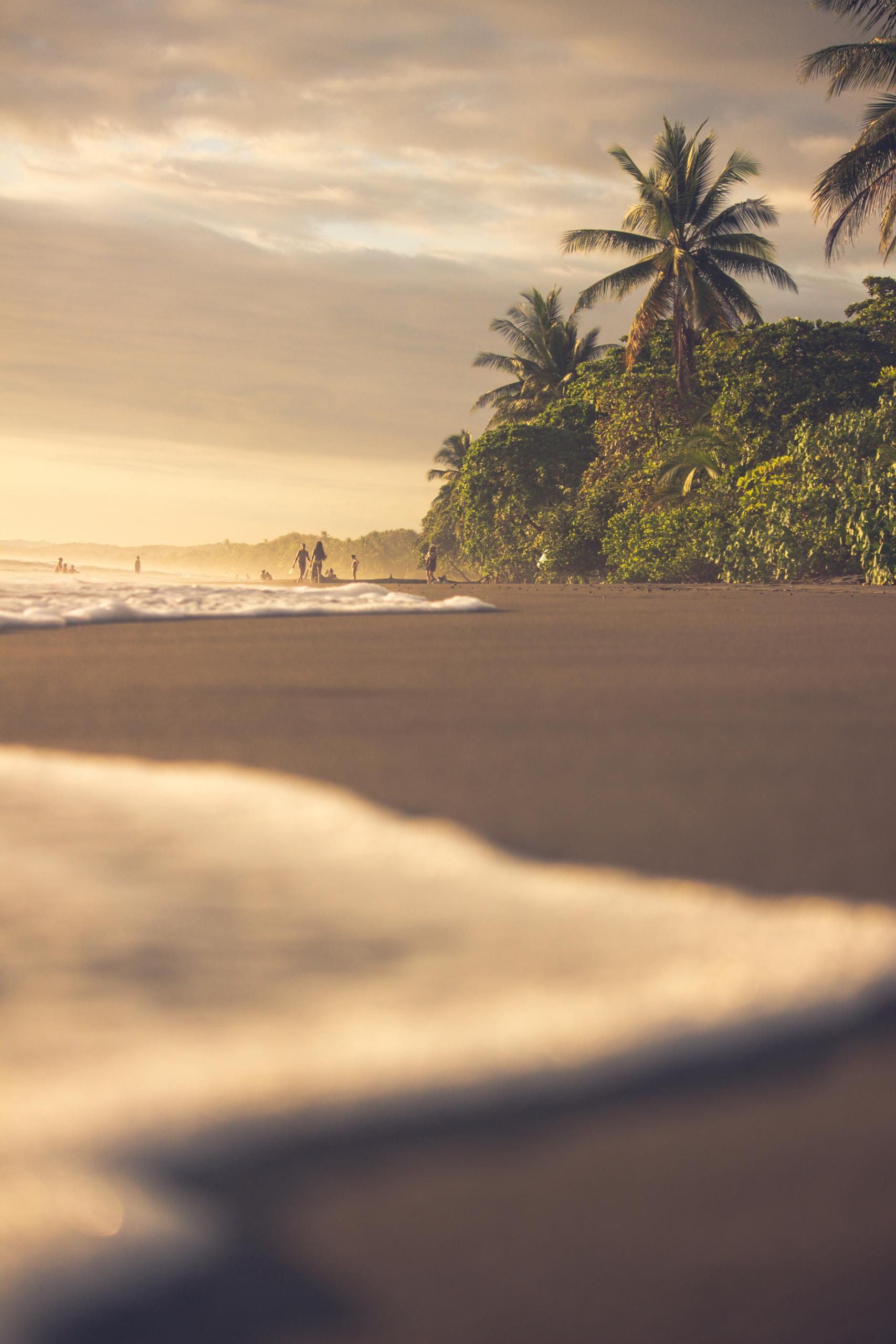 Golden light illuminates a beach with dark sand and gentle waves, backed by lush jungle foliage and distant figures enjoying the ocean.
