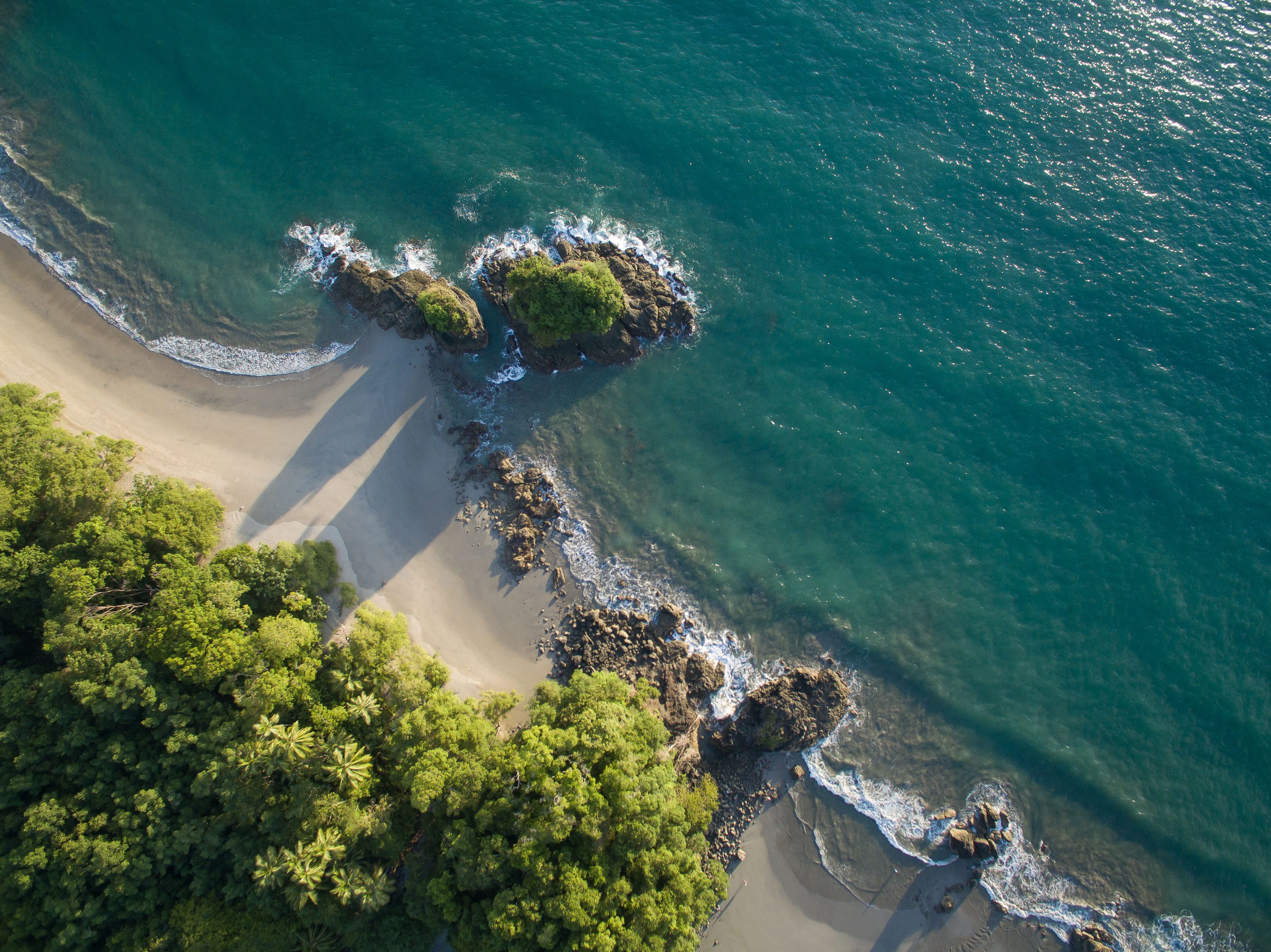 An aerial perspective shows dense green jungle bordering a sandy beach and the clear blue ocean with gentle waves.