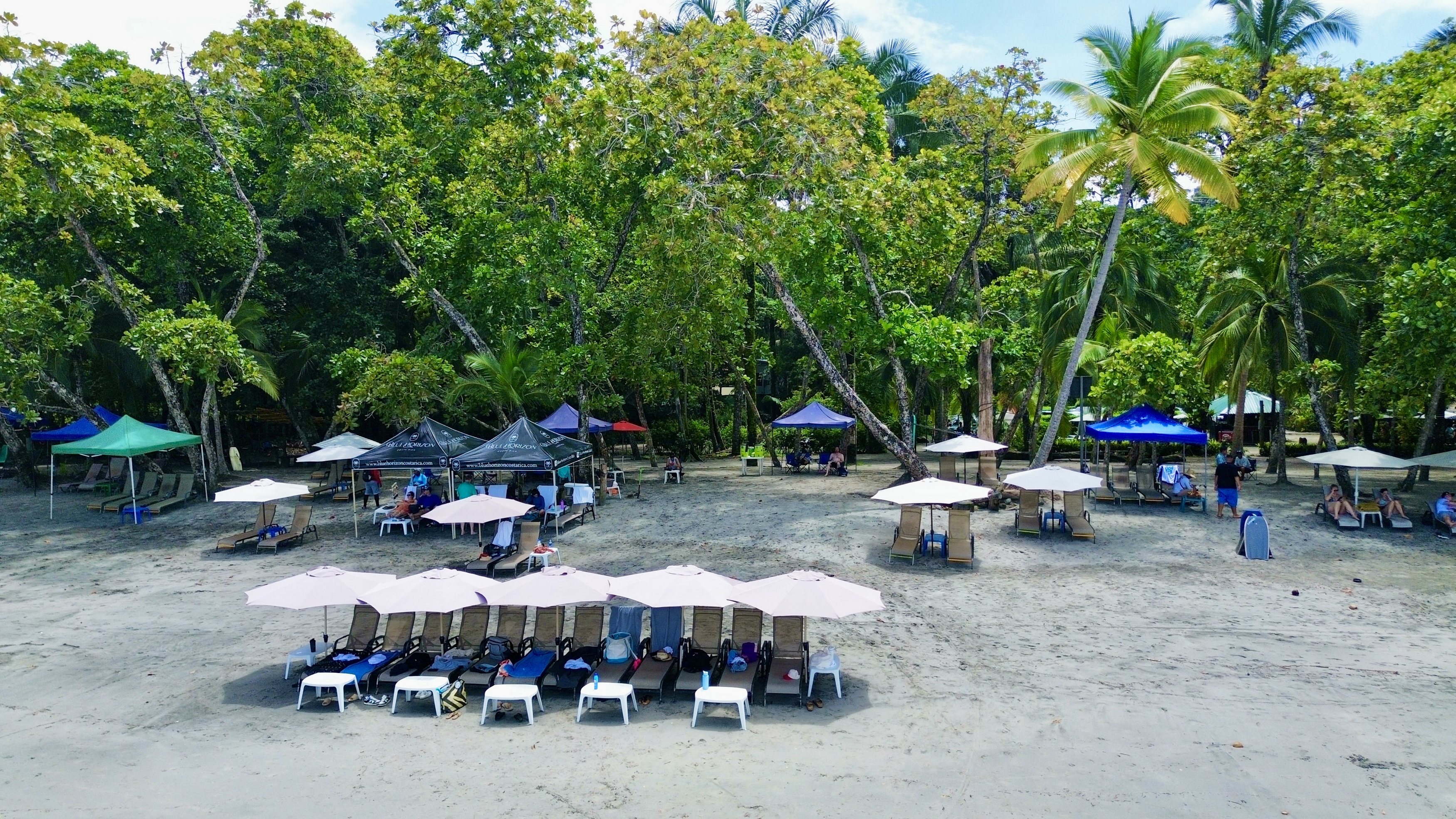 The sunny sandy beach at the Blue Horizon Beach Club presents rows of shaded lounge chairs nestled against a backdrop of tropical jungle.