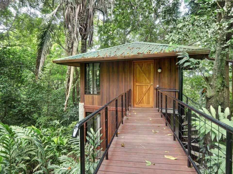 An elevated wooden guest house with a private entrance and a wooden walkway is surrounded by dense tropical jungle.