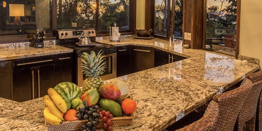 An open kitchen features granite countertops, dark wood cabinetry, and large windows offering natural light and views of tropical trees.