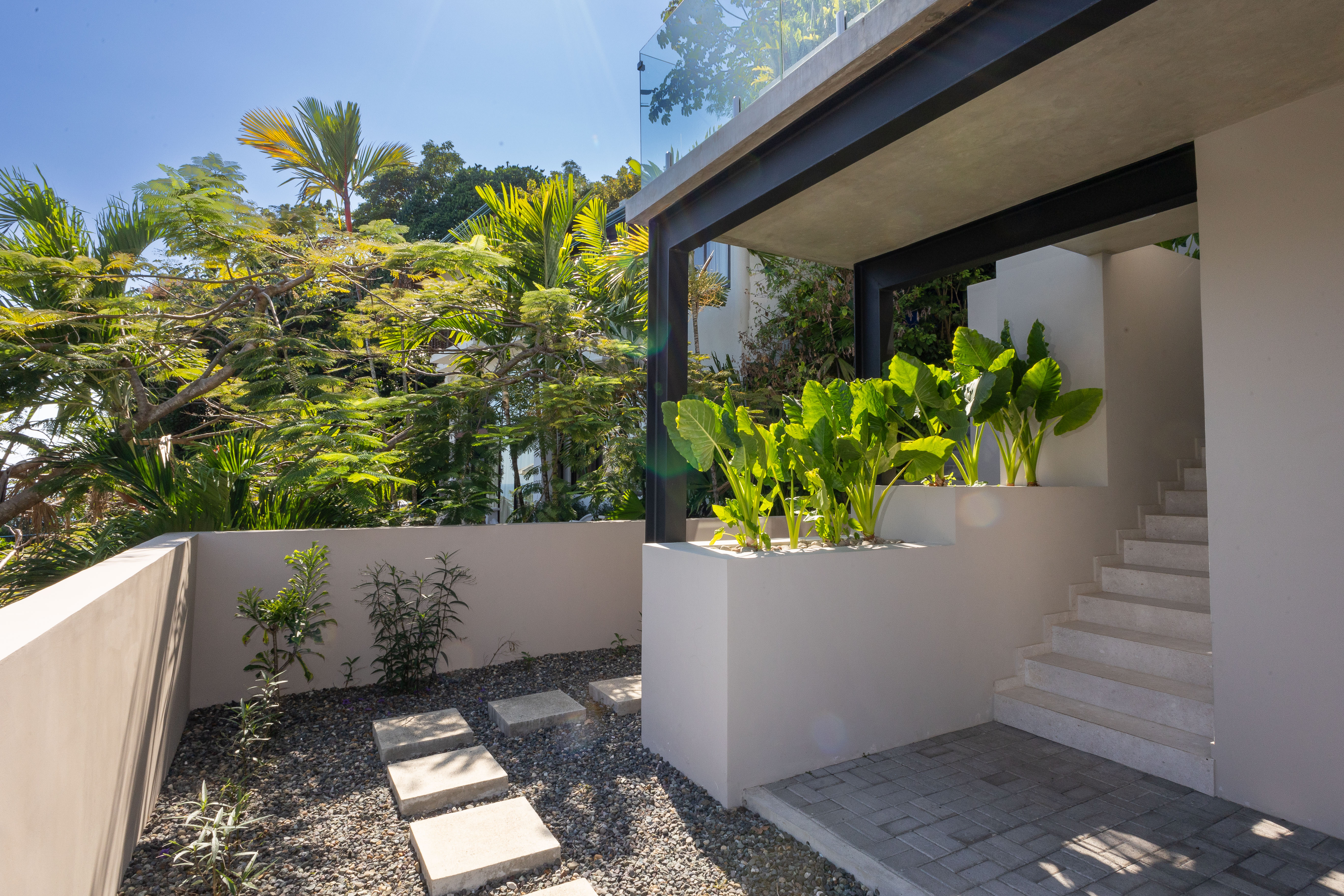 An outdoor path with stepping stones leads past modern white planters filled with tropical foliage toward a sunlit staircase ascending through lush jungle greenery.