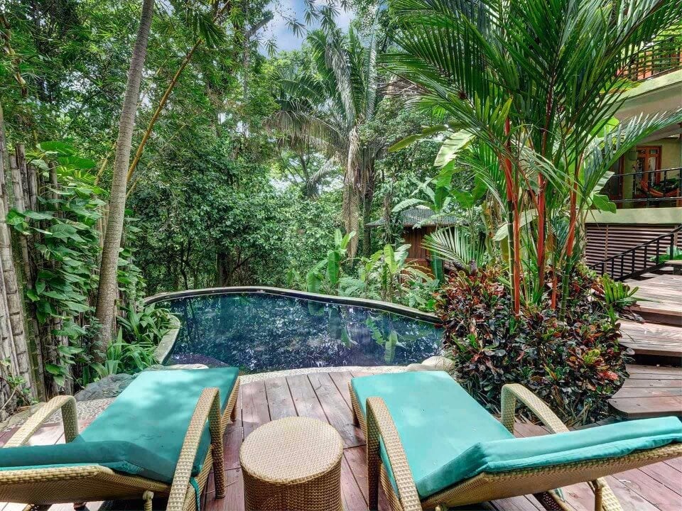 A jungle pool with a dark finish is set into a wooden deck with two lounge chairs, surrounded by dense tropical foliage.