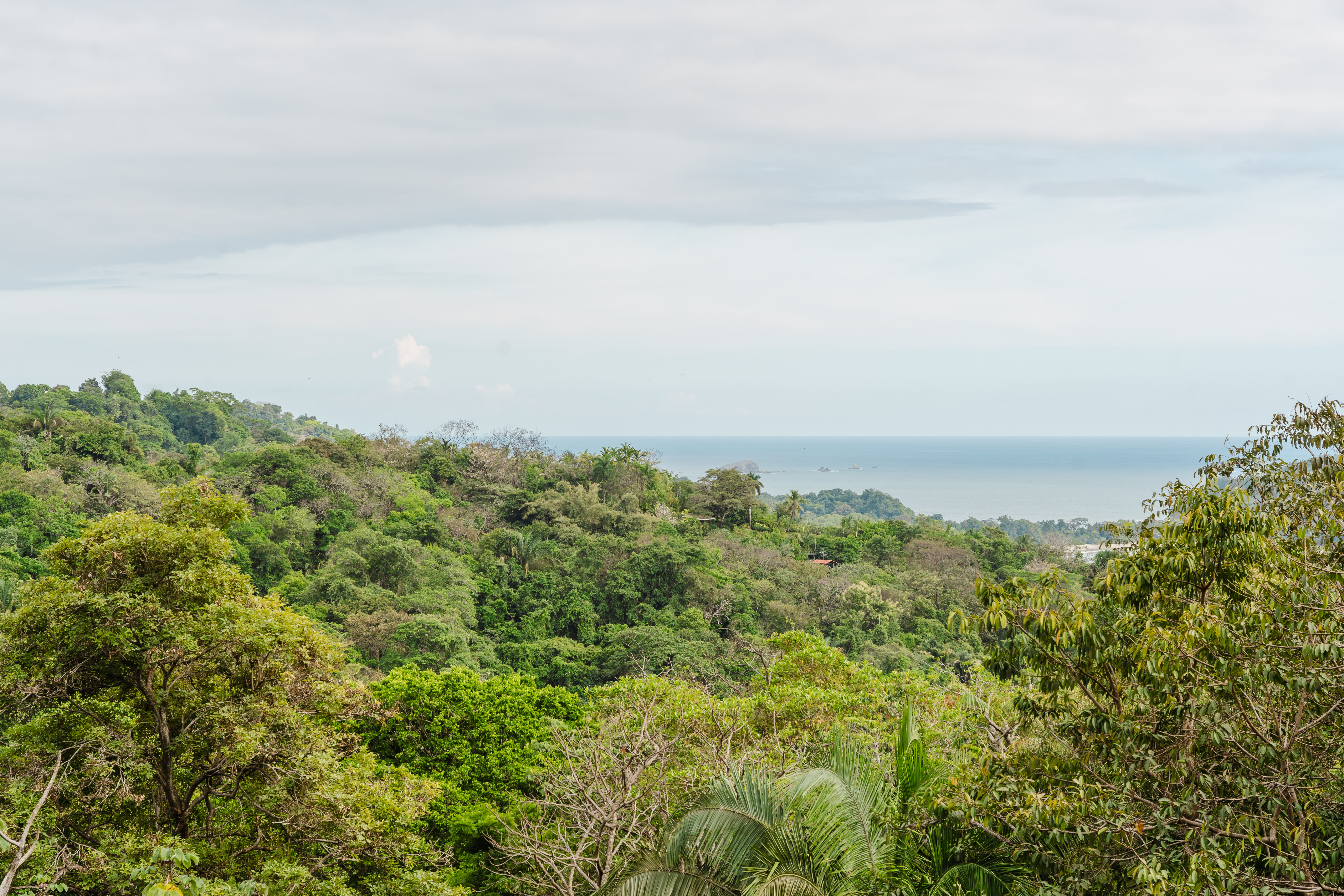A panoramic view reveals a dense green jungle landscape meeting the blue ocean under a cloudy sky.