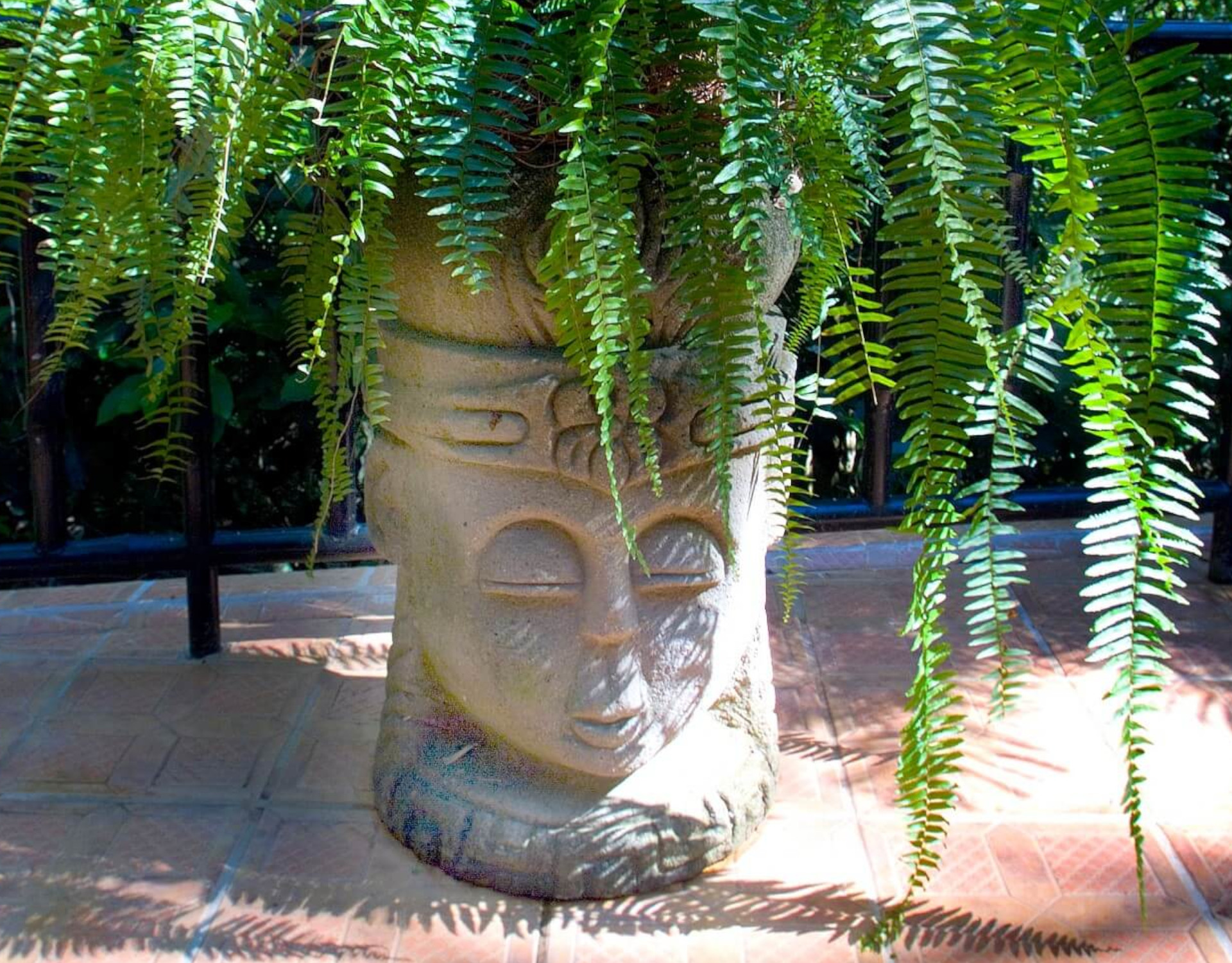 A tiled outdoor terrace floor with a dark metal railing overlooks dense tropical foliage, illuminated by dappled sunlight.