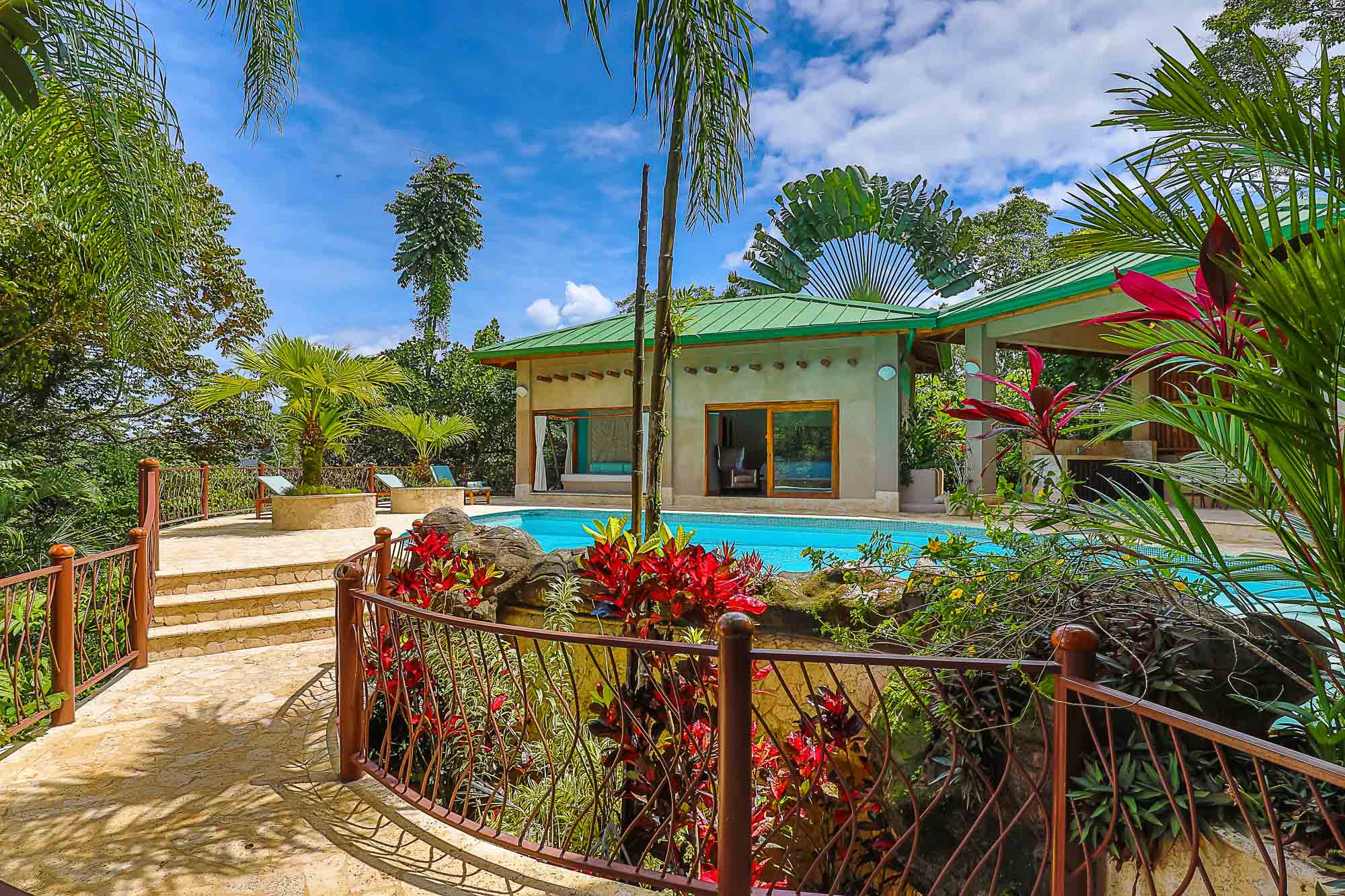 A vibrant blue swimming pool sits amidst abundant tropical plants and palm trees, fronting a contemporary building with a green roof and large sliding glass doors that open to the natural surroundings.