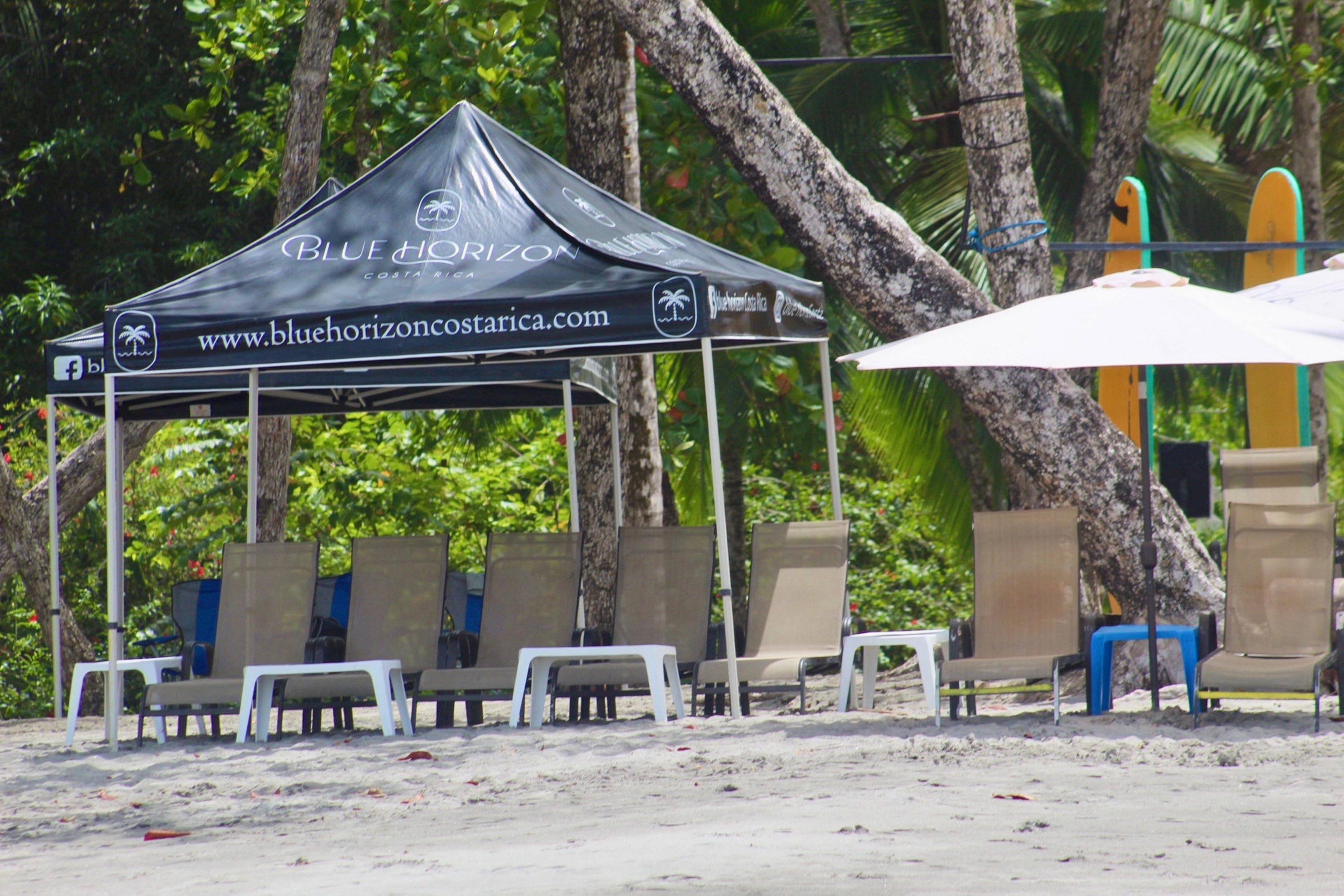 A designated beach area offers shaded lounge chairs and small tables on the sand, backed by lush tropical trees.