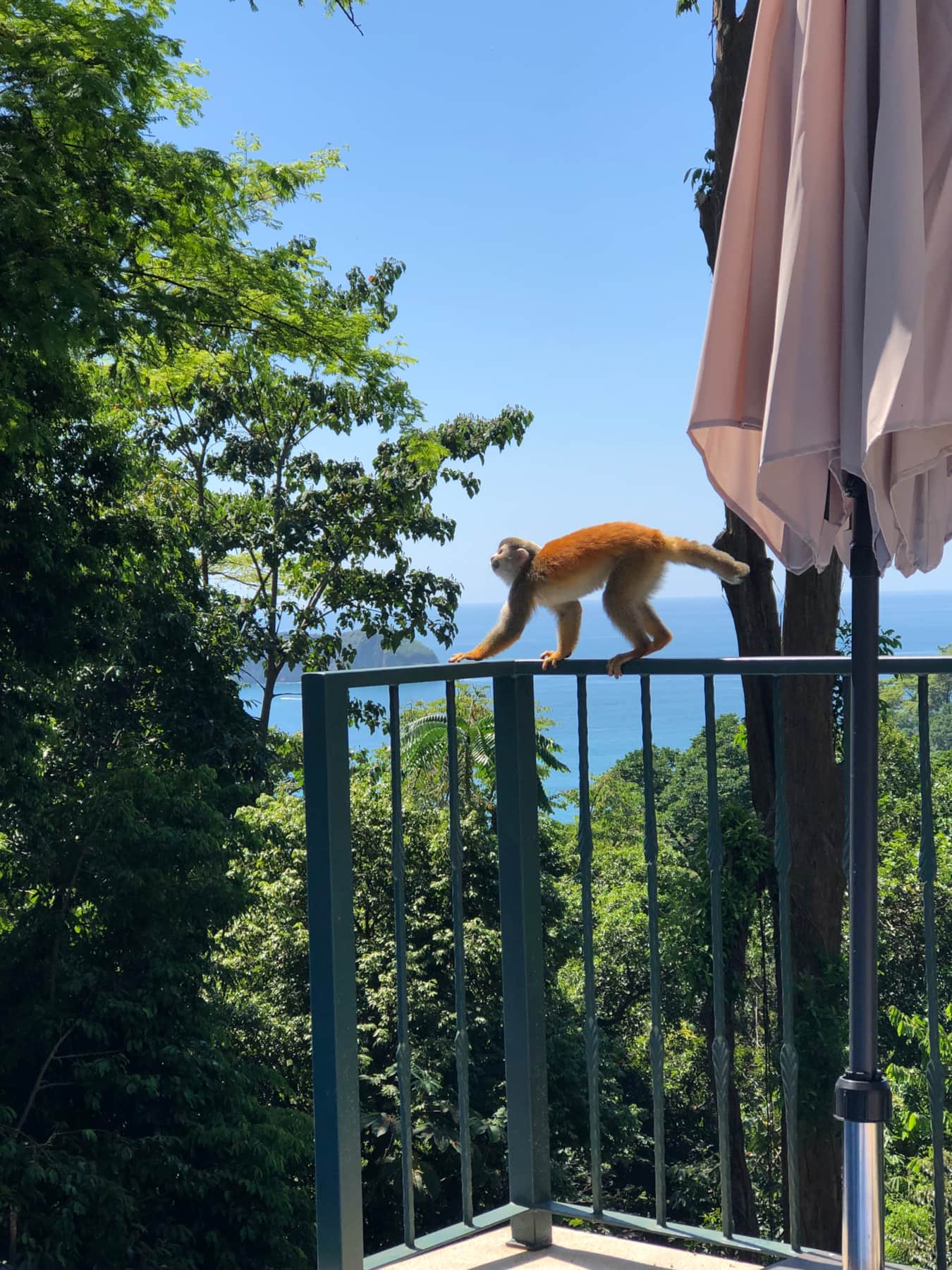 Mi Casa es Su Casa