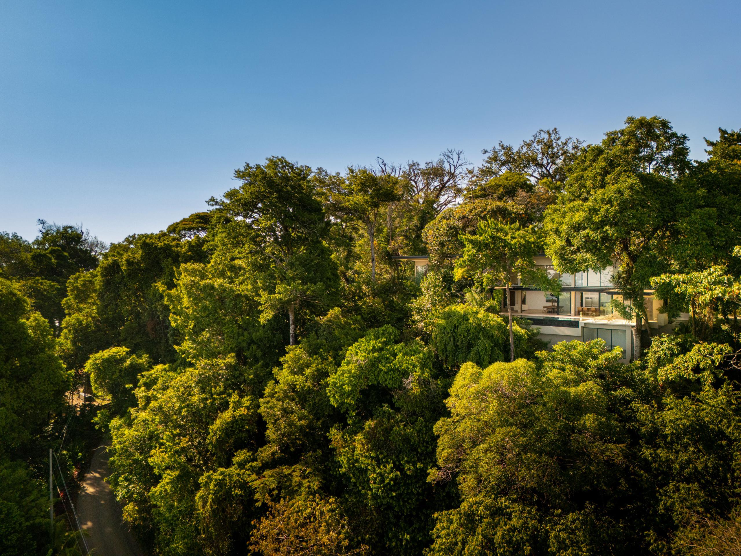 The modern multi-level villa, featuring extensive glass walls and an outdoor pool terrace, is surrounded by a dense canopy of tropical trees under a bright blue sky.