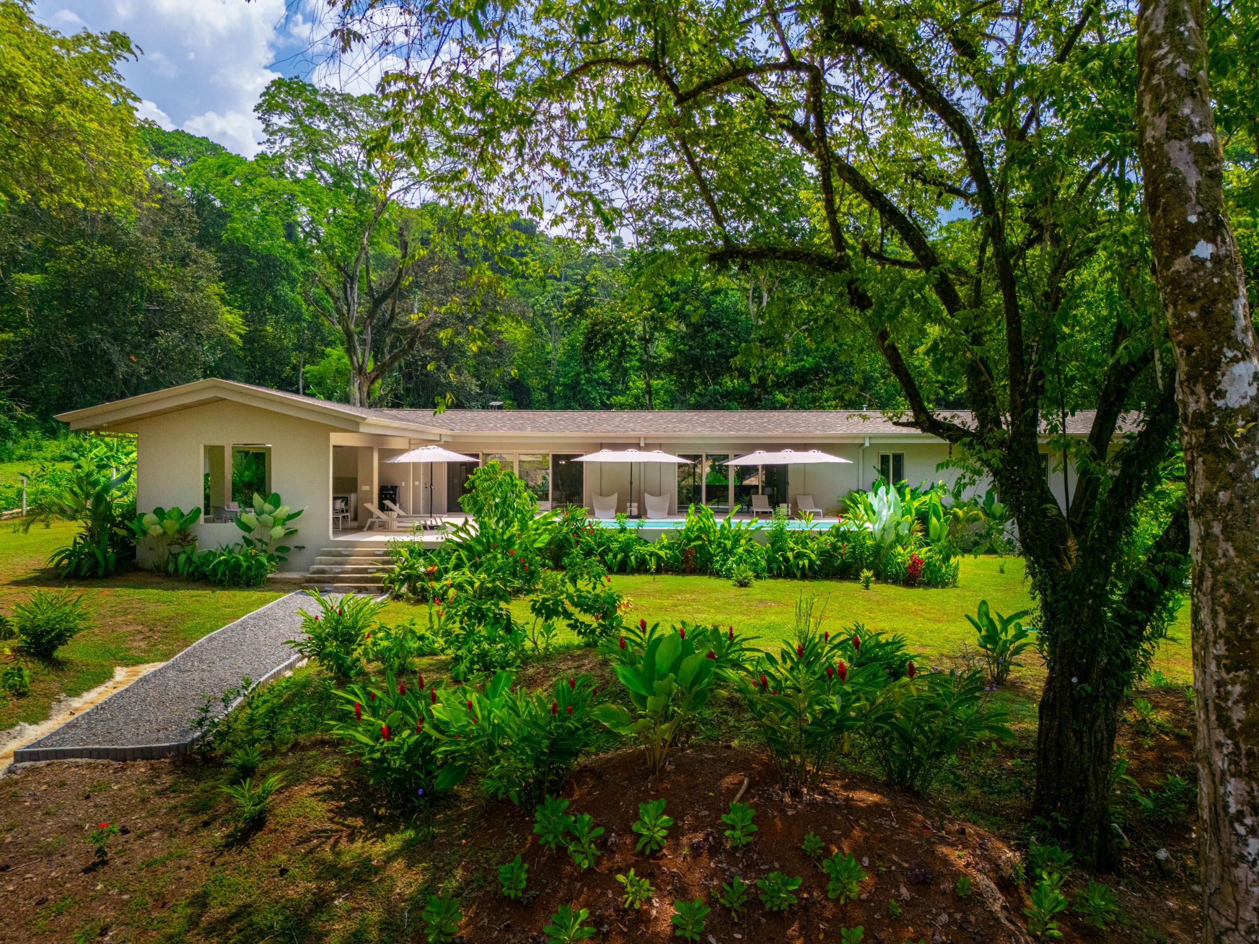 The villa's modern exterior, featuring ample natural light through large glass doors, overlooks a private pool and sun terrace, bordered by a lush tropical garden and dense national park jungle.