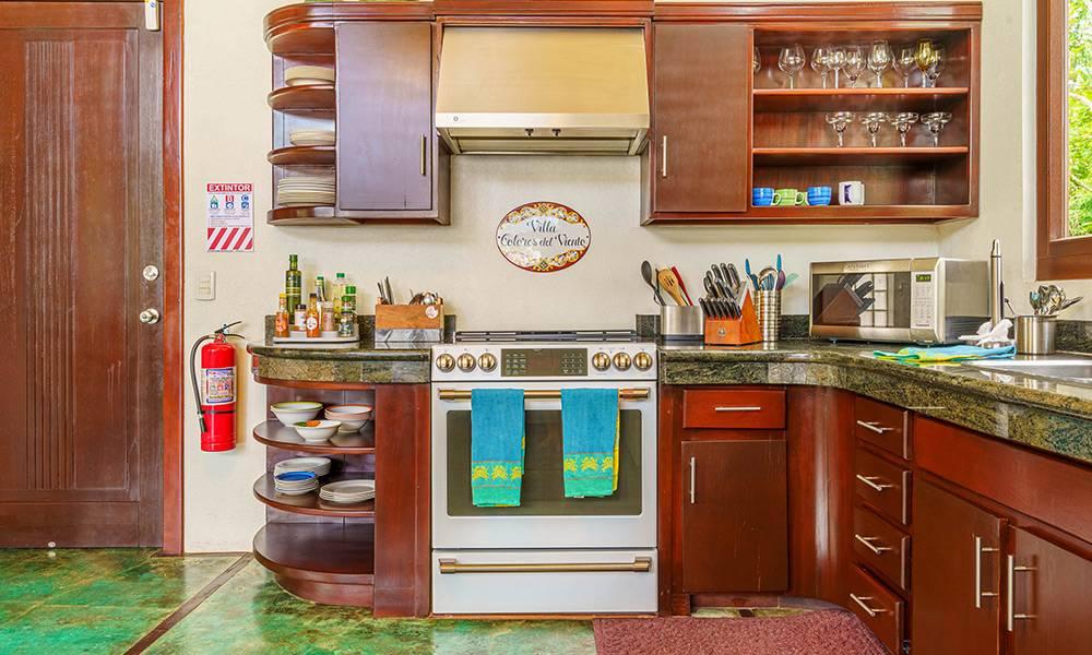 The kitchen features dark wood cabinetry and green granite countertops with a modern stainless steel oven and range, illuminated by natural light from a window overlooking tropical foliage.