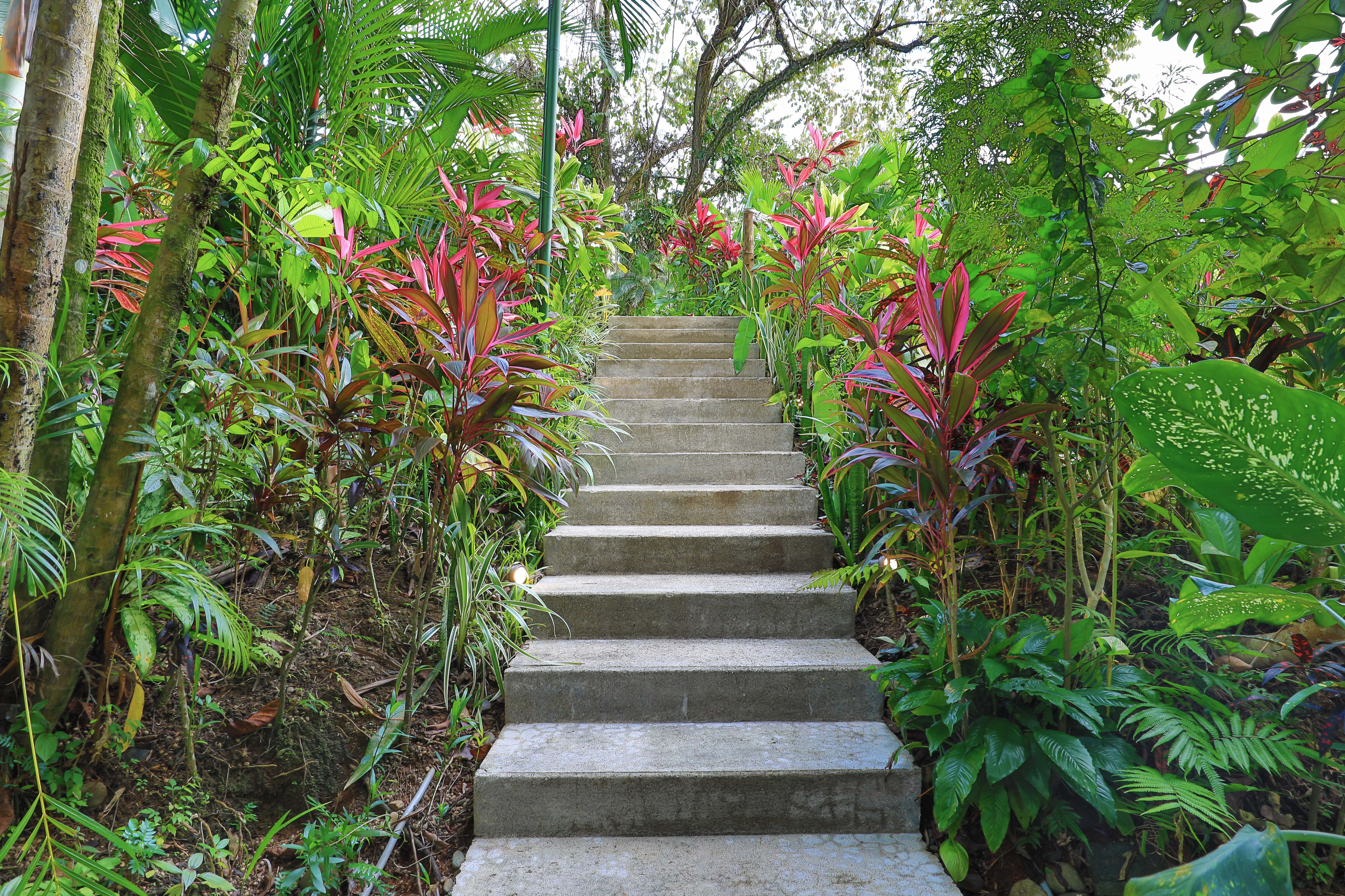 Villa Mariana (Completa)